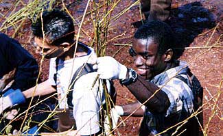 Biology Club