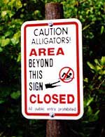 Alligator Caution at our Campsite