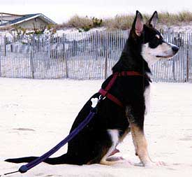 Babagail at 14 weeks