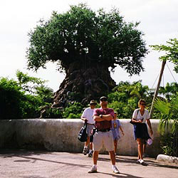 Me at the Animal Kingdom
