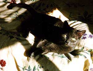 Winnie
